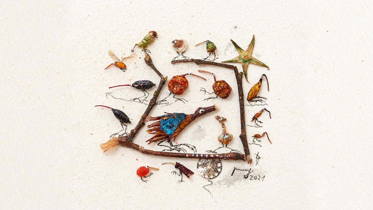 Bunte Vogelwelt