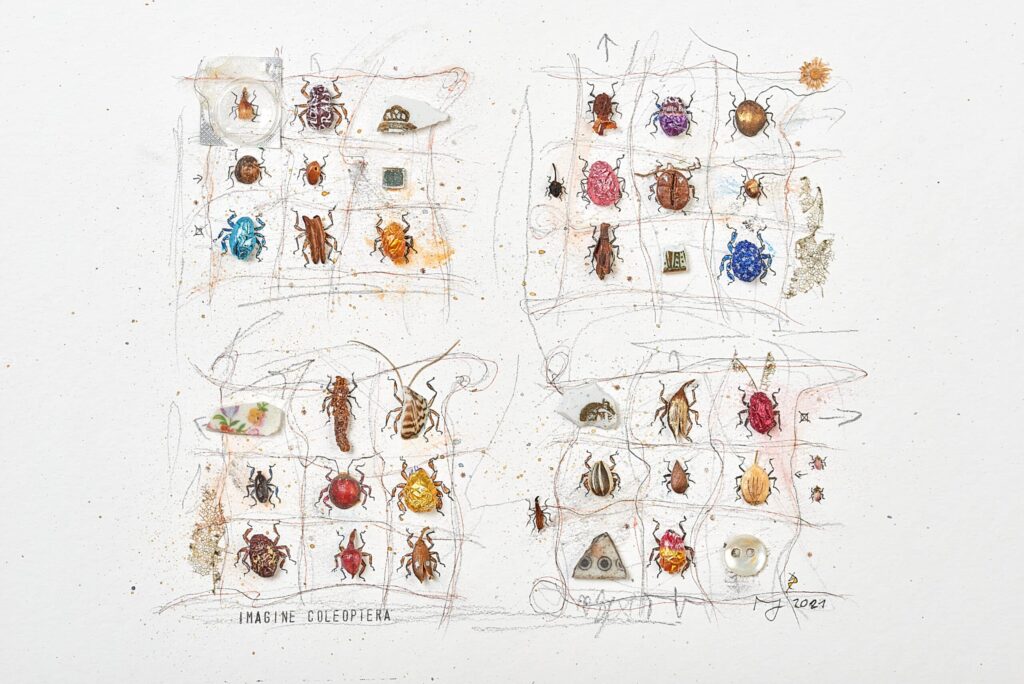 Insect collection