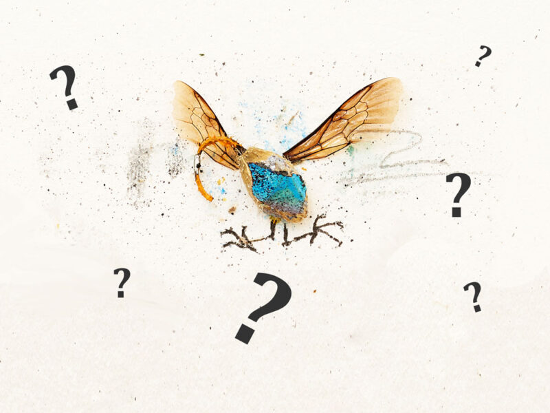 FAQ Who? How? What? Where?